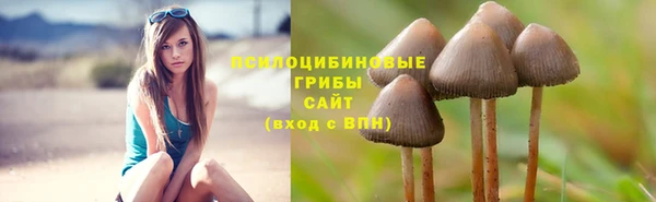 ГАЛЛЮЦИНОГЕННЫЕ ГРИБЫ Алексеевка