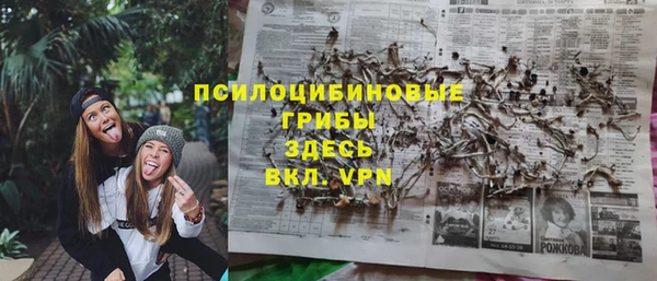 apvp Алексин