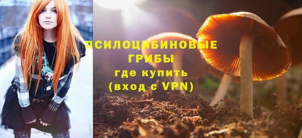 гидропоника Алзамай